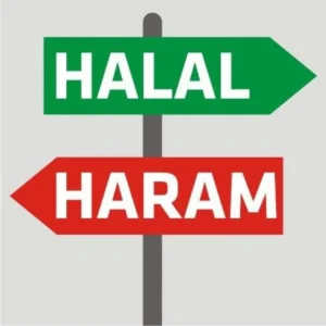Understanding Halal and Haram in Islam