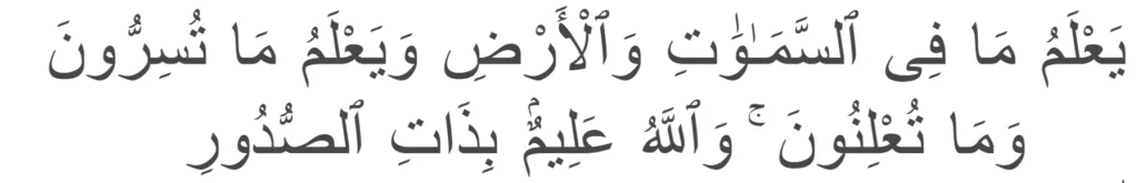 Surah Taghabun ayat no 4