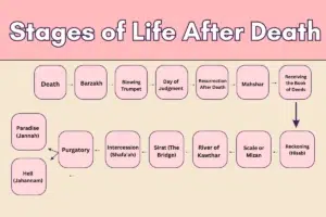 Flowchart illustrating the Stages of Life After Death in Islam, including Death, Barzakh, Blowing Trumpet, Day of Judgment, Resurrection After Death, Mahshar, Receiving the Book of Deeds, Purgatory, Intercession (Shafa'ah), Sirat (The Bridge), River of Kawthar, Scale or Mizan, and Reckoning (Hisab). The chart highlights the journey of souls from death to their final destinations in Paradise (Jannah) or Hell (Jahannam).