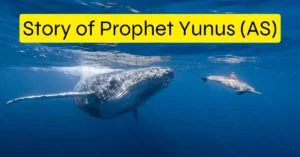 Underwater image showing a large whale and a dolphin swimming in the ocean, symbolizing the story of Prophet Yunus (AS). The text overlay reads "Story of Prophet Yunus (AS)". This visual representation highlights the themes related to the focus keyphrase benefits of Surah Yunus, including divine mercy, hope after hardship, and the lessons learned from the Prophet's journey.