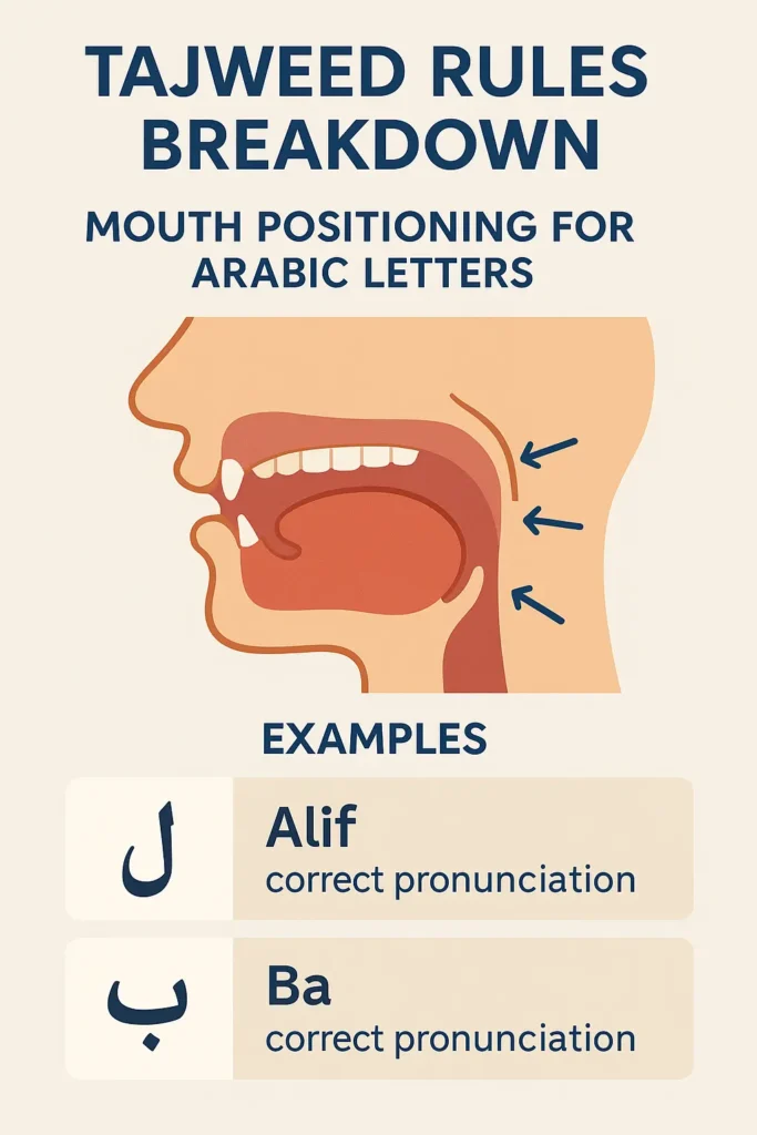 Mouth Posotioning For Arabic Letters